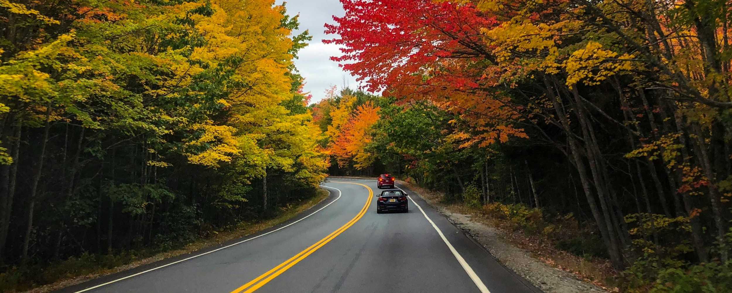 Zoom Car Rental